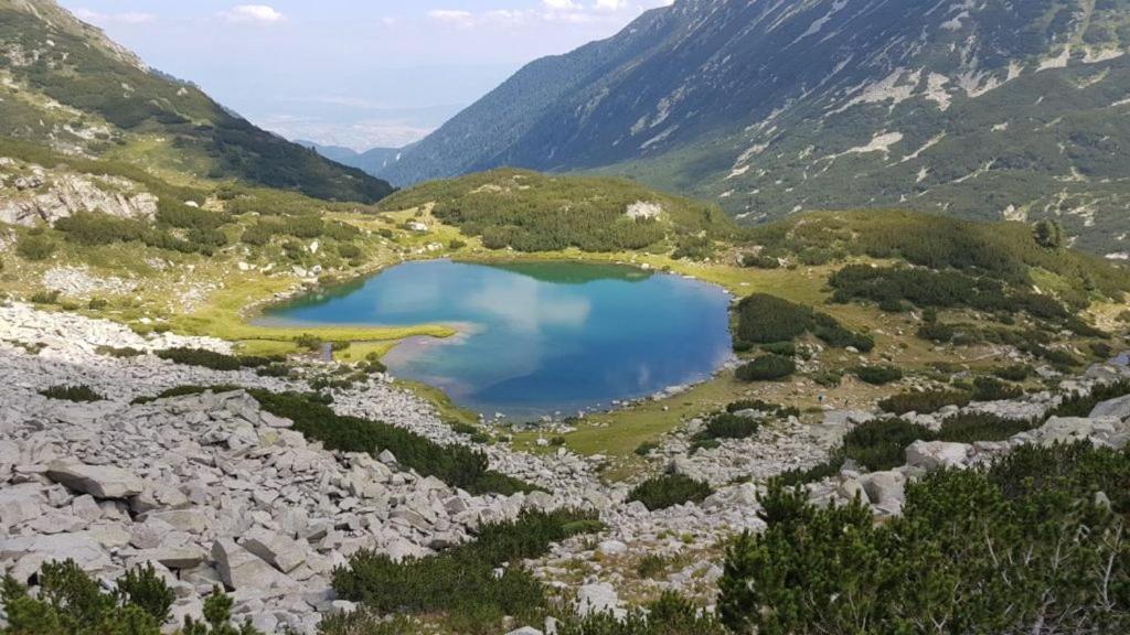Pirina Club Hotel Bansko Exteriér fotografie
