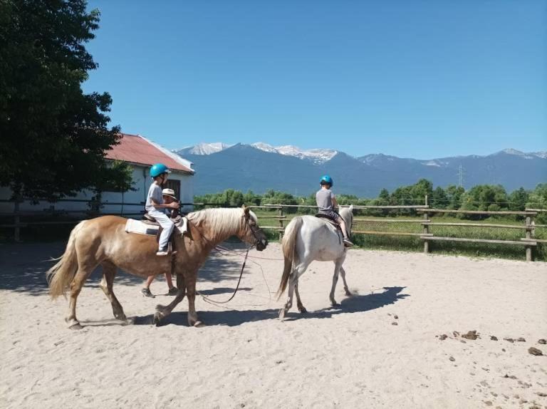 Pirina Club Hotel Bansko Exteriér fotografie